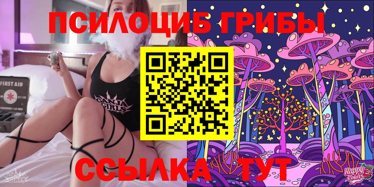 Зеленогорск  Галлюциногенные грибы Magic Shrooms  Вход с VPN  Галлюциногенные грибы Cubensis 