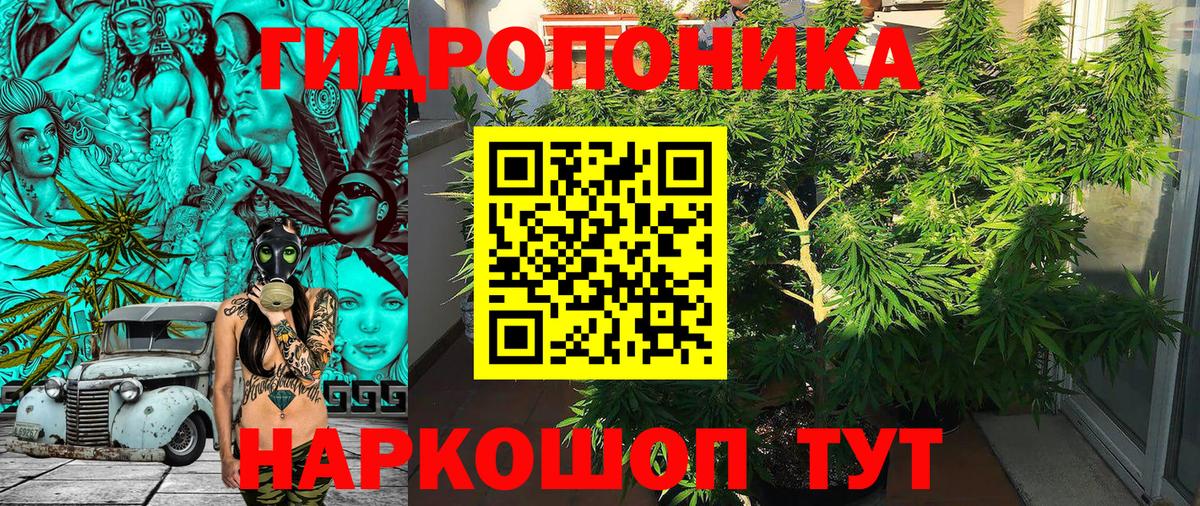 Зеленогорск  Канабис семена  Вход с VPN  Каннабис план  Бошки Шишки планчик 
